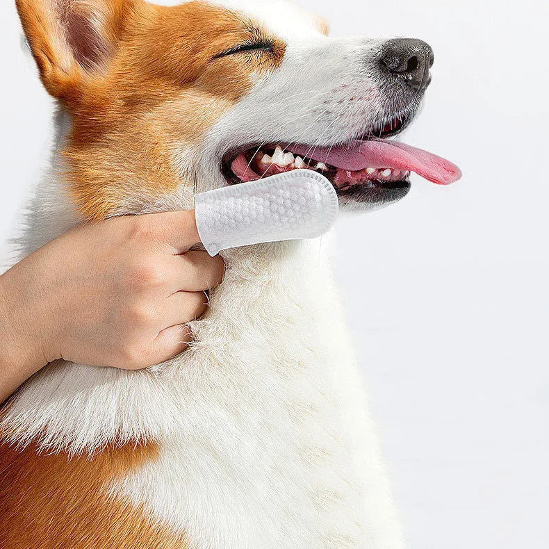 🐾TOALLAS DE CUIDADO DENTAL PARA MASCOTAS🐶