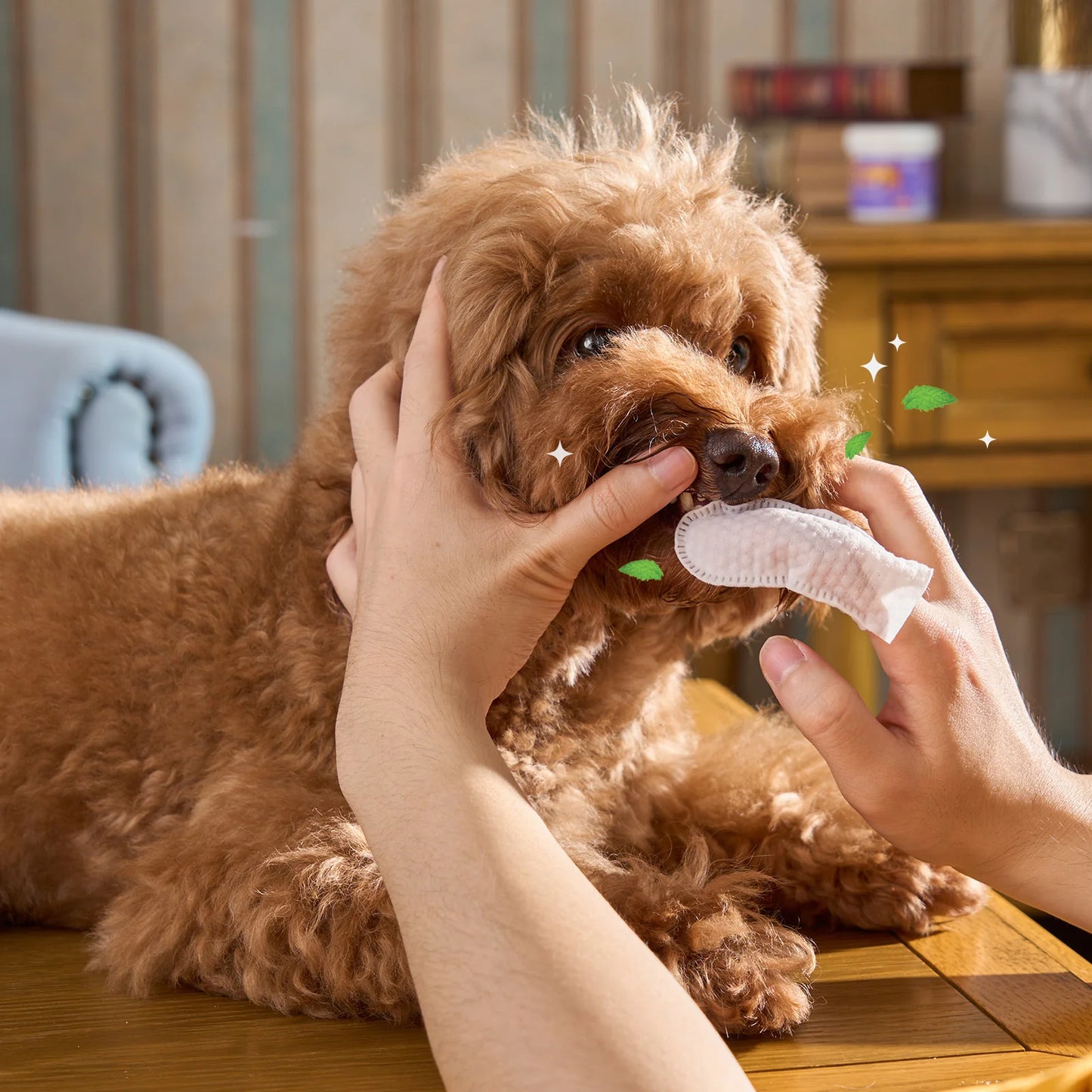 🐾TOALLAS DE CUIDADO DENTAL PARA MASCOTAS🐶