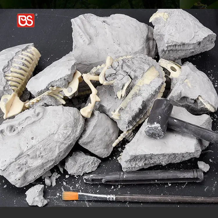 🦖 KIT DE EXCAVACIÓN DE FÓSILES DE DINOSAURIOS 🦕