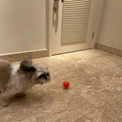 🐱 PELOTA INTERACTIVA PARA MASCOTAS 🐶