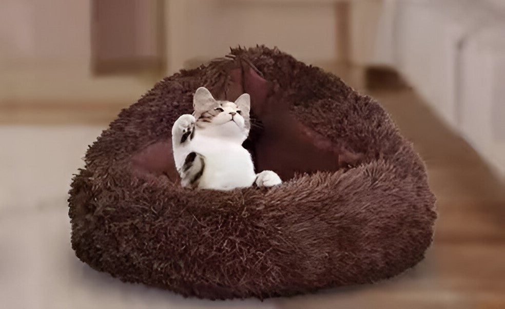 🛏️CAMA PARA GATOS😸