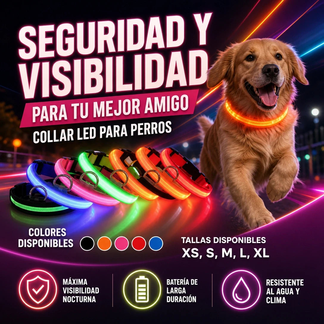 CORREA LED FLUORECENTE PARA PERRO MÁXIMA SEGURIDAD NOCTURNA