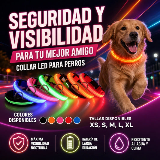 CORREA LED FLUORECENTE PARA PERRO MÁXIMA SEGURIDAD NOCTURNA